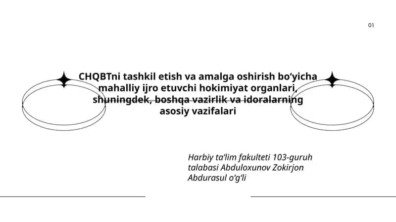 CHQBTni tashkil etish va amalga oshirish boʻyicha mahalliy ijro etuvchi hokimiyat organlari 1