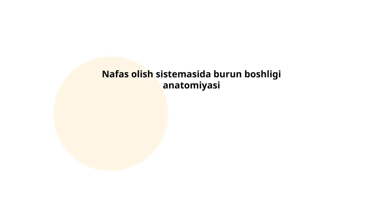 Nafas olish sistemasida burun boshligi anatomiyasi 1