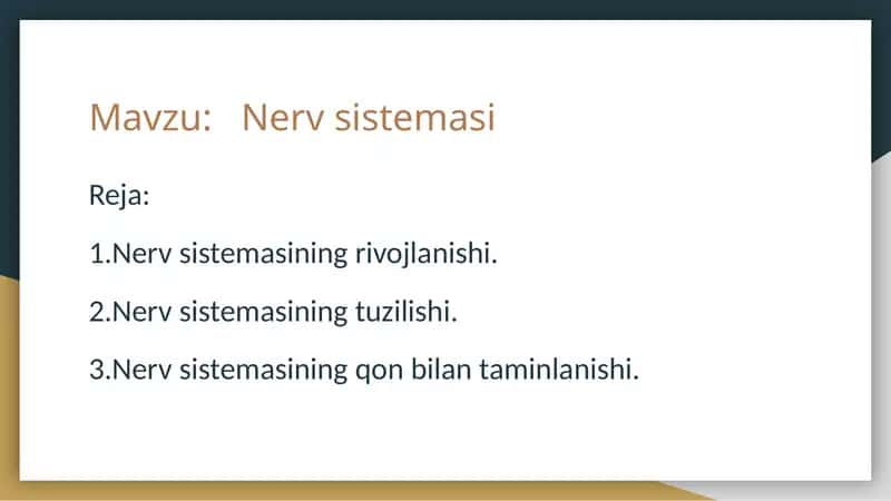 Nerv sistemasi 1