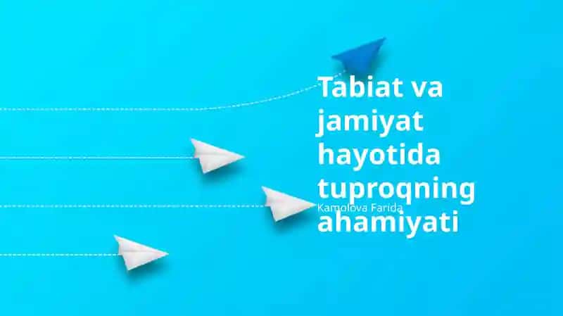 Tuproqning Ekosistemalardagi Muhim Vazifalari