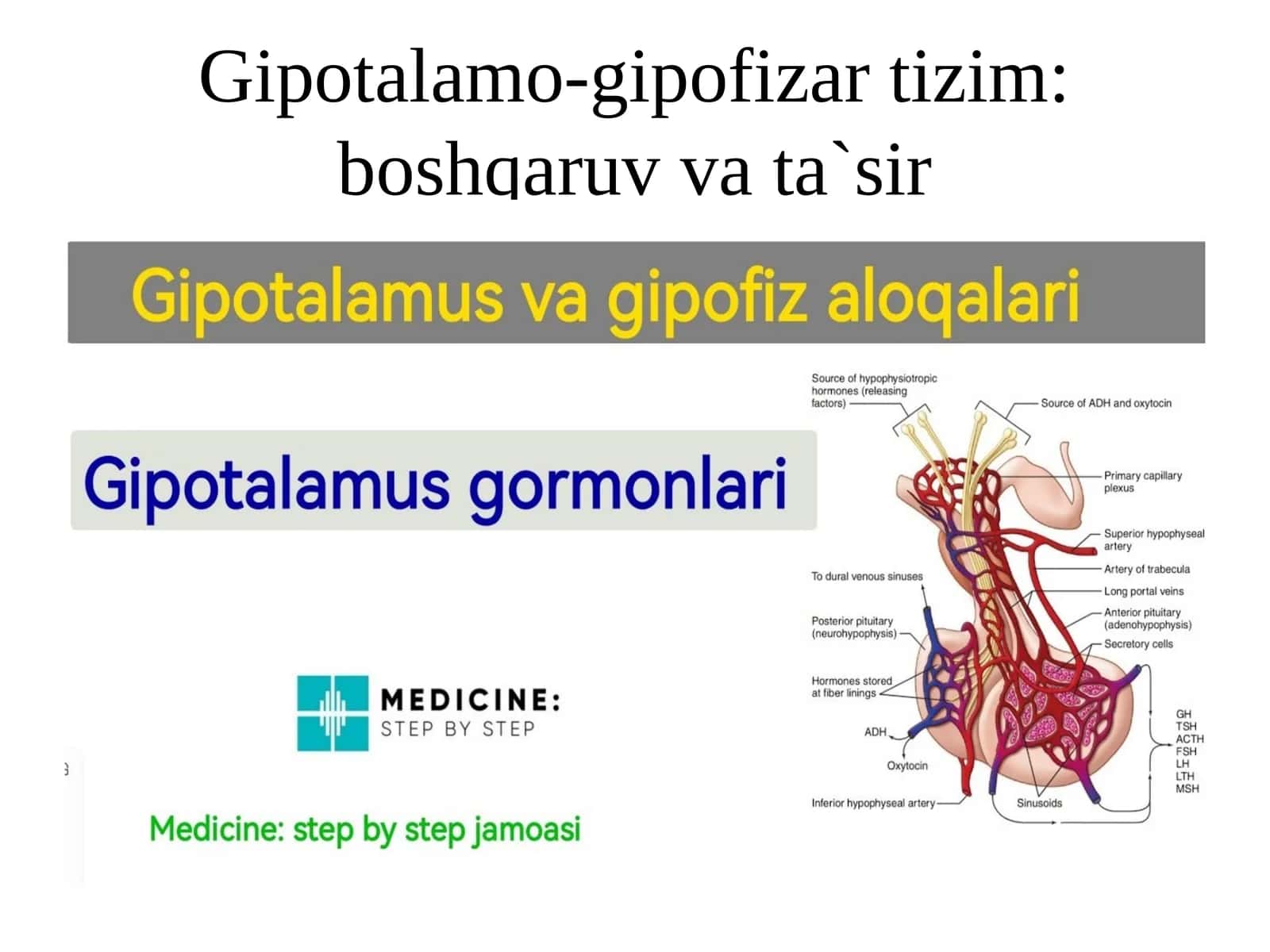 Gipotalamo-gipofizartizim:boshqaruvvata`sir 1