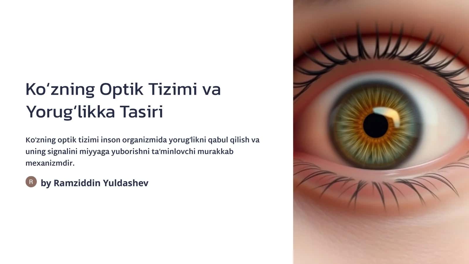 Koʻzning Optik Tizimi va Yorugʻlikka Tasiri 1