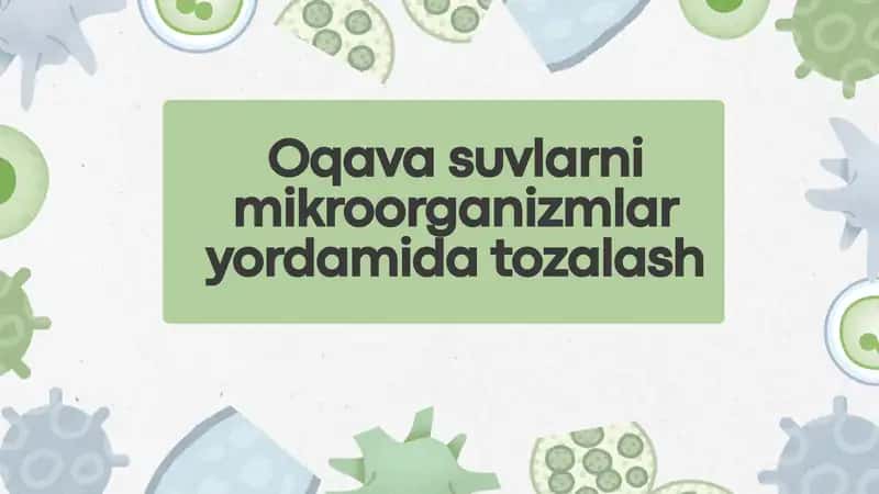 Oqava suvlarni mikroorganizmlar yordamida tozalash 1