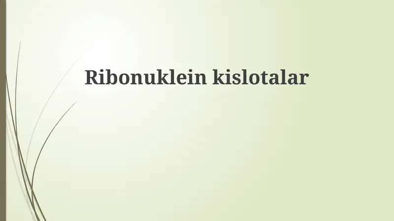 Ribonukleinkislotalar 1