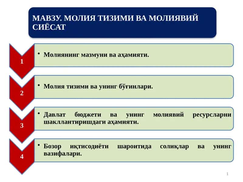 Молиянинг моҳияти ва вазифалари 1