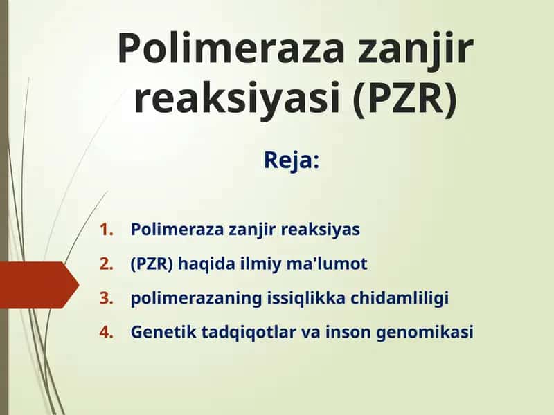 Polimerazazanjirreaksiyasi(PZR) 1