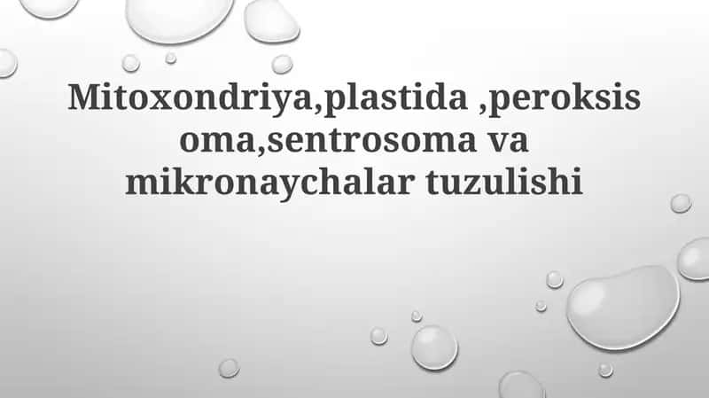 Mitoxondriya, Plastoidlar va Peroksisomalar tuzilishi 1