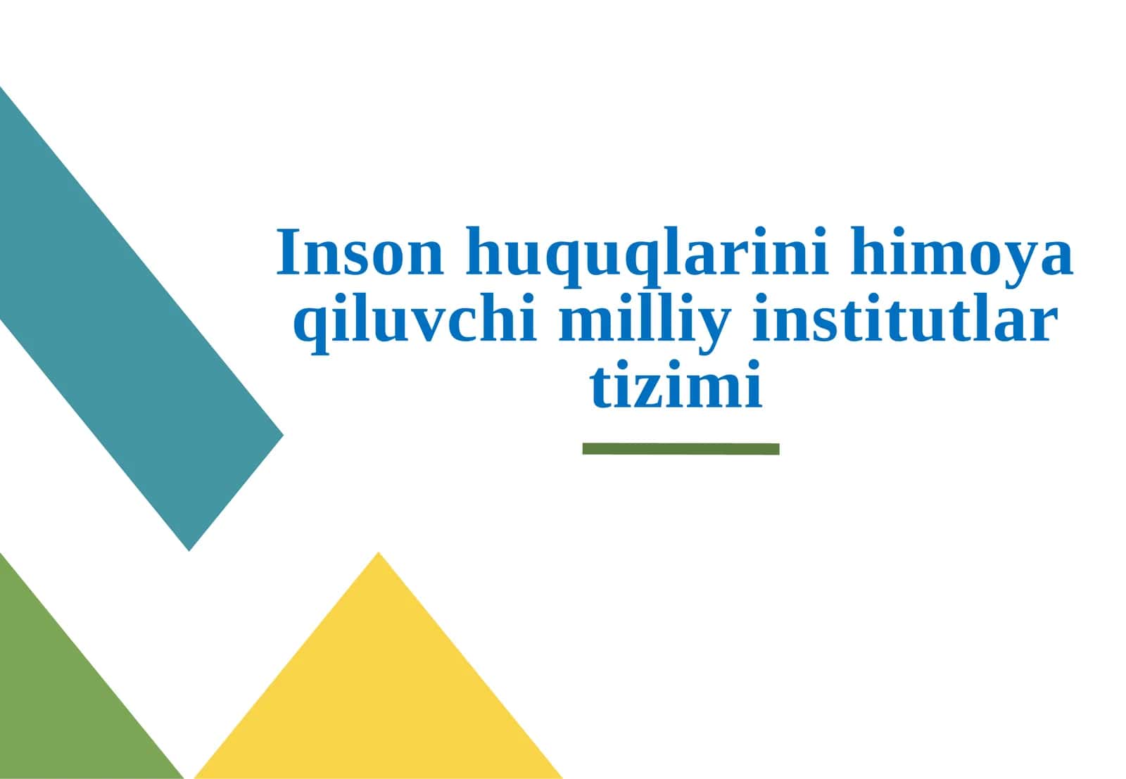 Inson huquqlarini himoya qiluvchi milliy institutlar tizimi 1