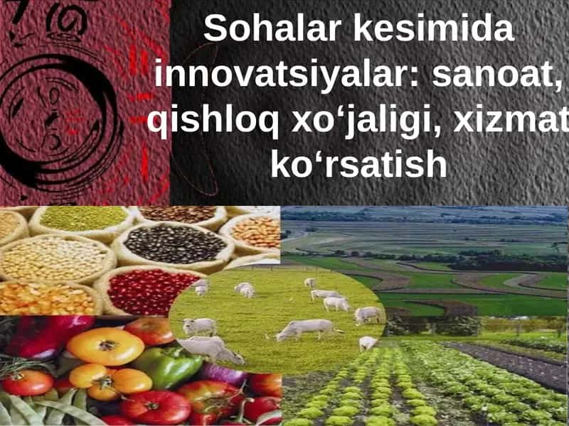 Qishloq xo'jaligi 1