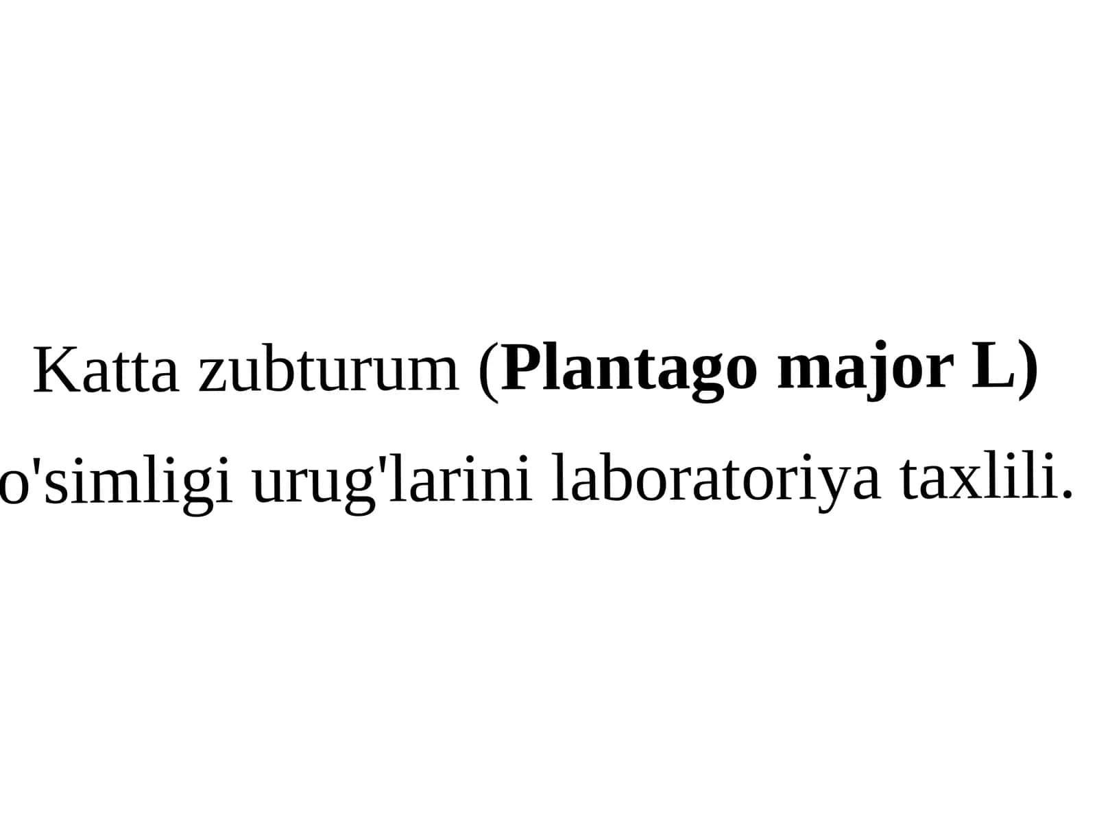 Kattazubturum(Plantagomajor L) o'simligi urug'larini laboratoriya taxlili 1