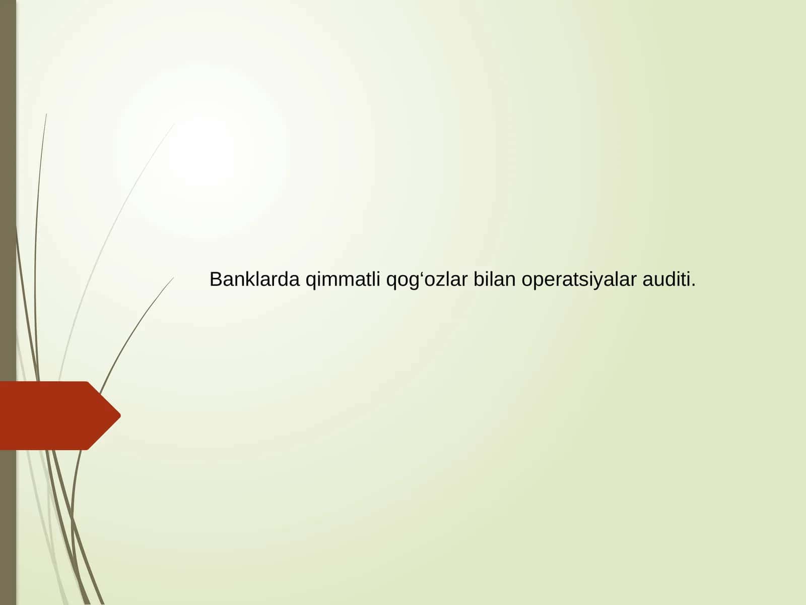Banklarda qimmatli qog‘ozlar bilan opеratsiyalar auditi 1