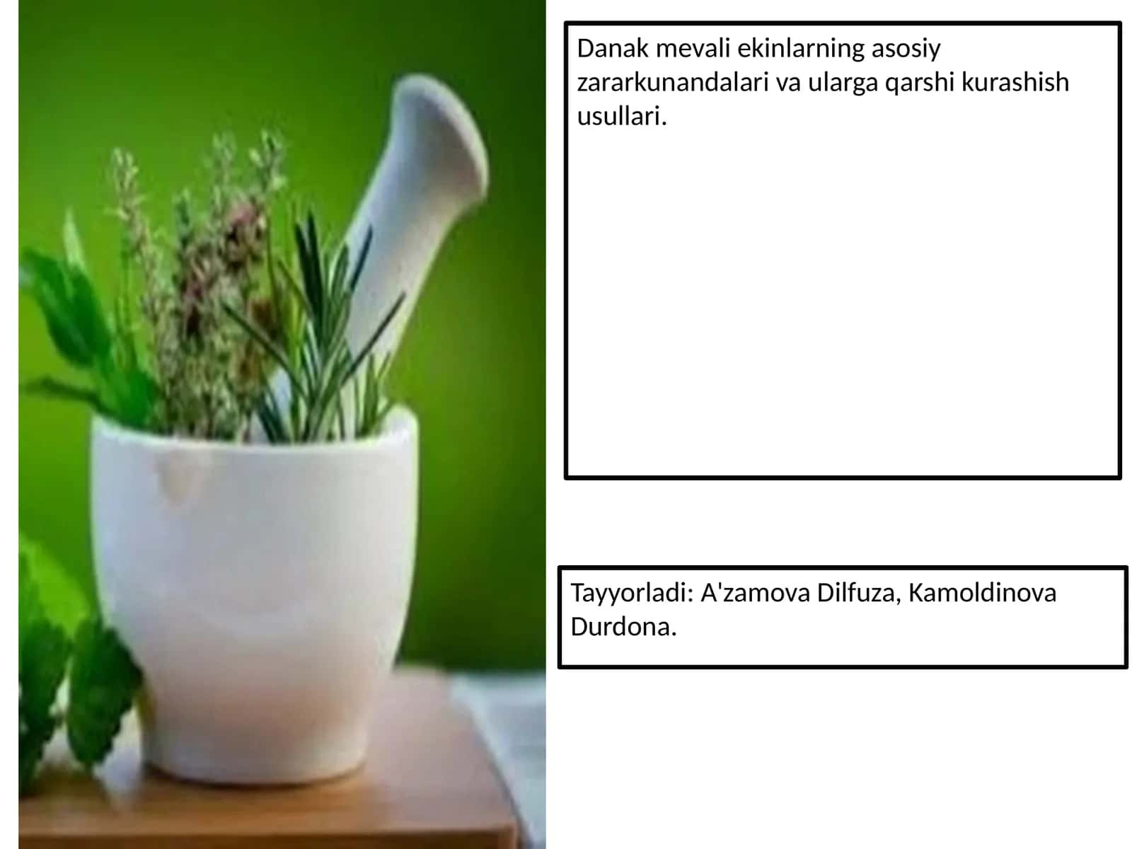 Danak mevali ekinlarning asosiy zararkunandalari va ularga qarshi kurashish usullari 1
