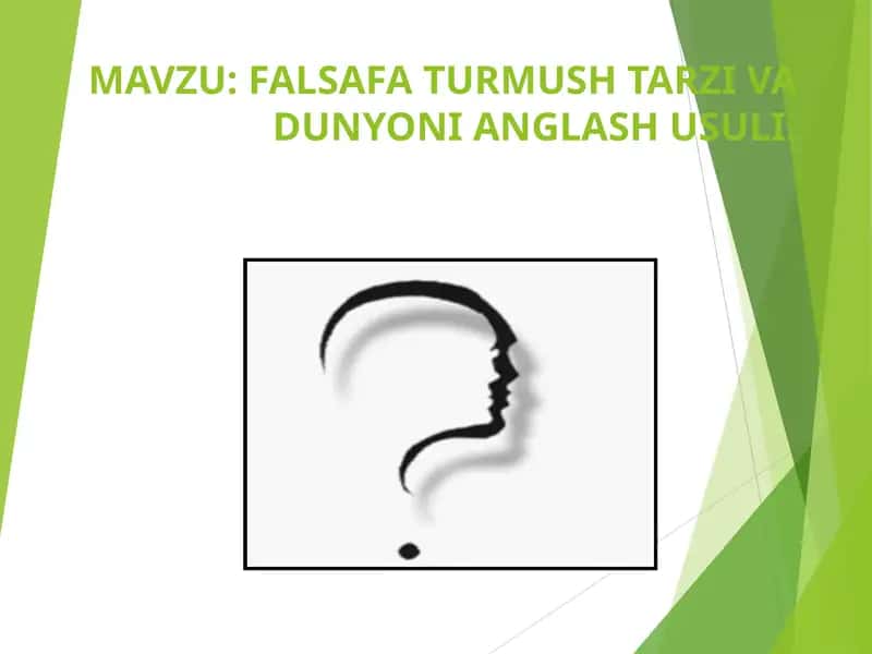 FALSAFA TURMUSH TARZI VA DUNYONI ANGLASH USULI 1