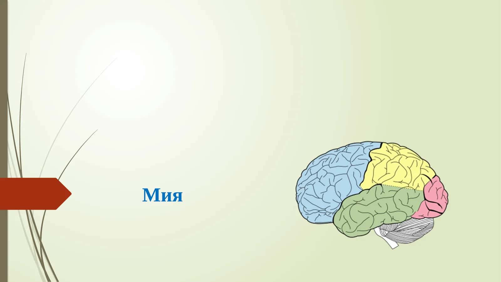 Мия 1