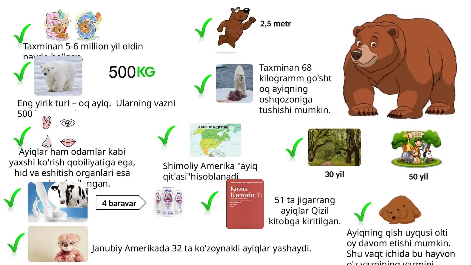 Ayiq (Bear) 1
