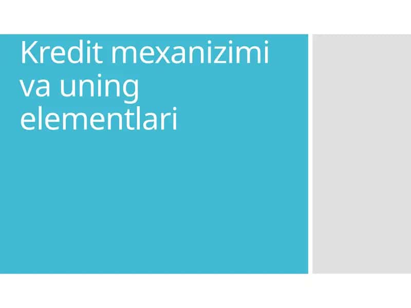 Kredit mexanizimi va uning elementlari 1