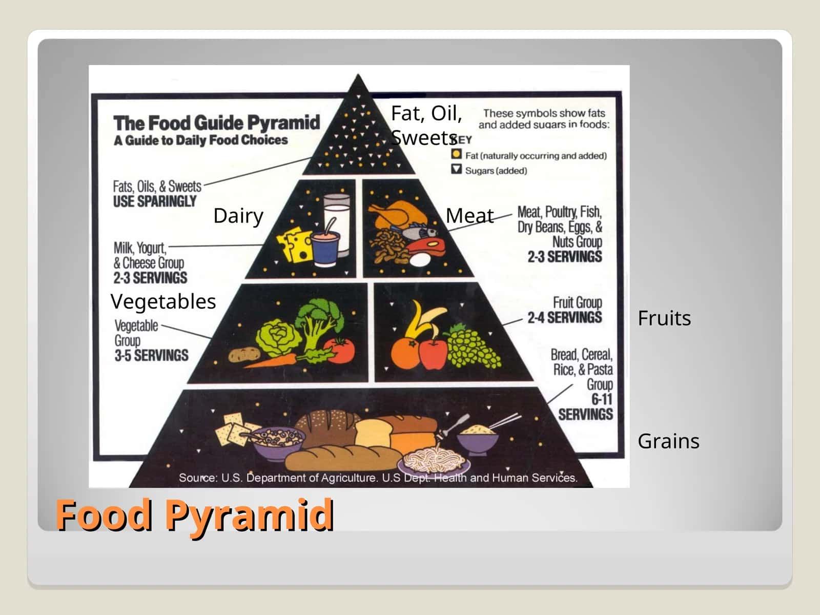 Food Pyramid 1