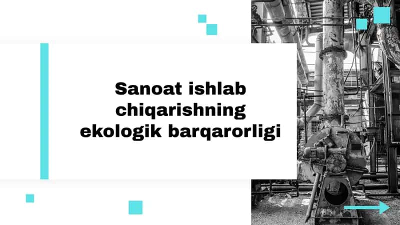 Sanoat ishlab chiqarishning ekologik barqarorligi 1