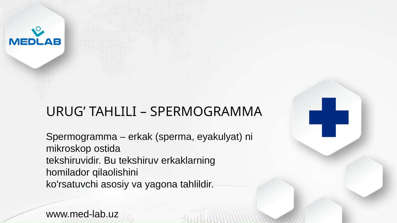 SPERMOGRAMMA 1