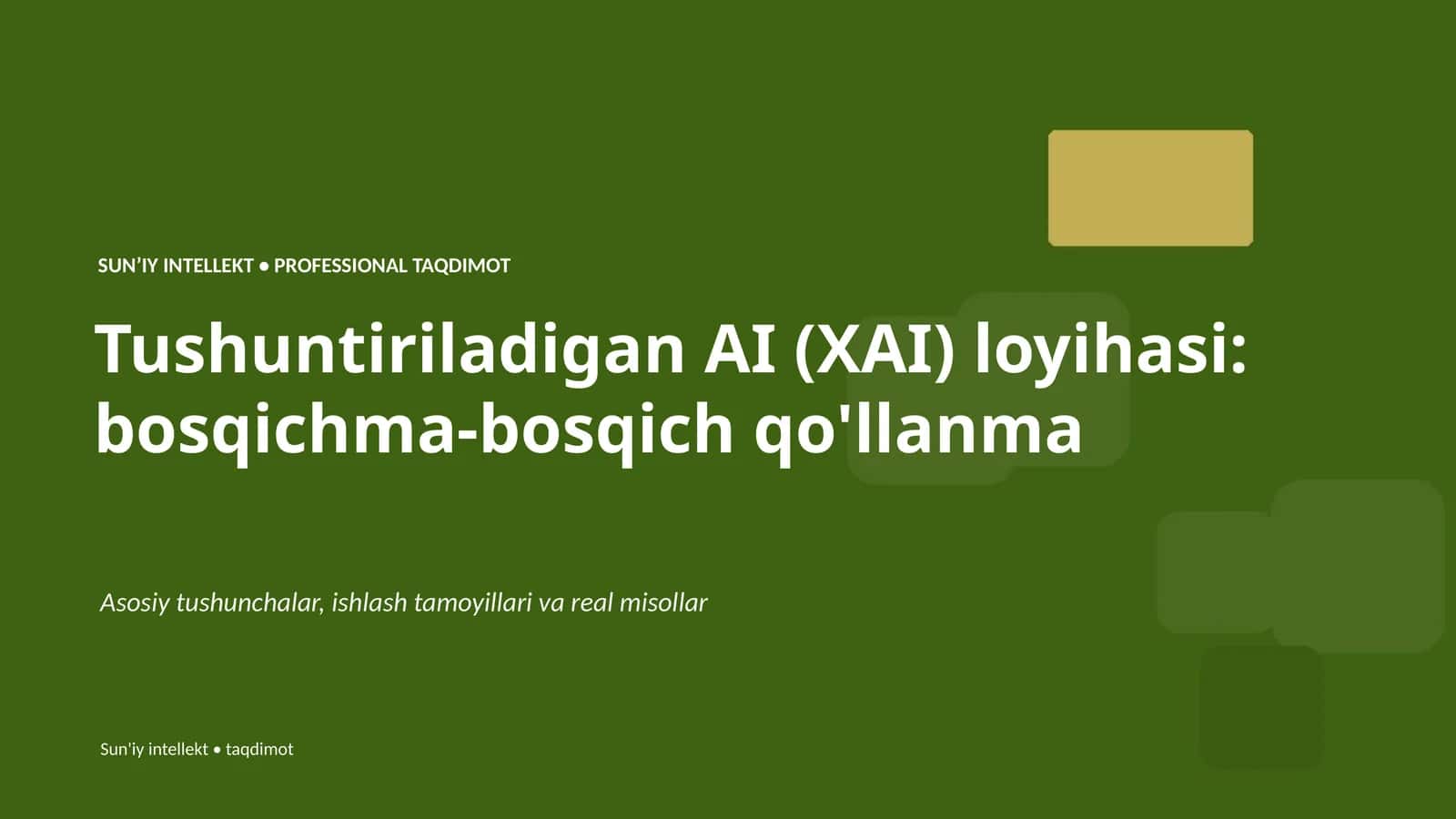Tushuntiriladigan AI (XAI) loyihasi: bosqichma-bosqich qo'llanma 1