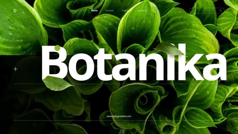 Tangirova Xadichaning botanika fanidan tayyorlagan taqdimoti 1