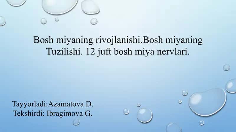 Bosh miya nervlari 1