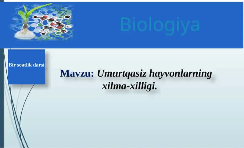 Umurtqasizhayvonlarningxilma-xilligi 1