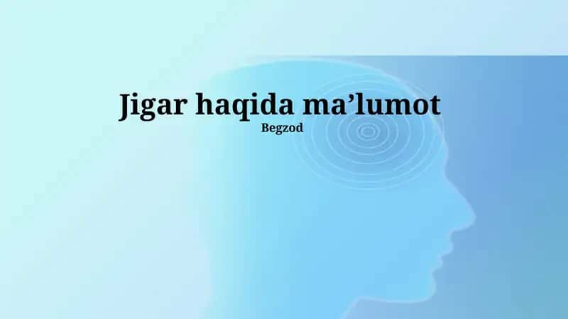 Jigar haqida umumiy ma'lumot 1