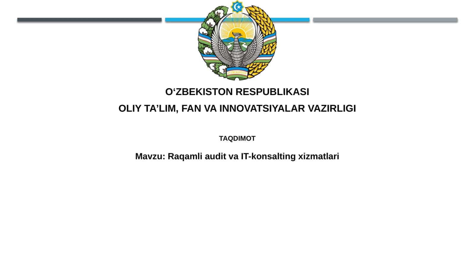 Raqamli audit va IT-konsalting xizmatlari 1