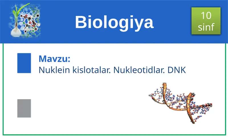 Nuklein kislotalar. Nukleotidlar. DNK 1