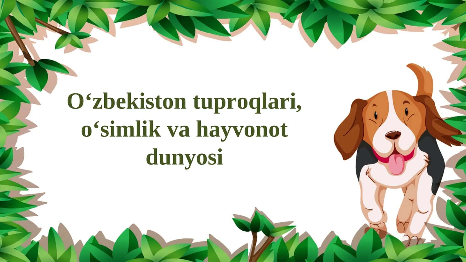 O‘zbekiston tuproqlari, o‘simlik va hayvonot dunyosi 1