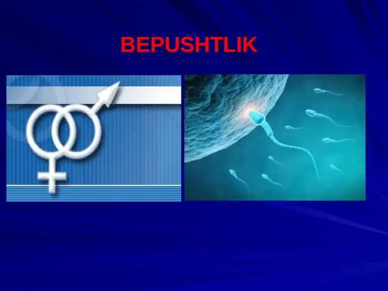BEPUSHTLIK 1