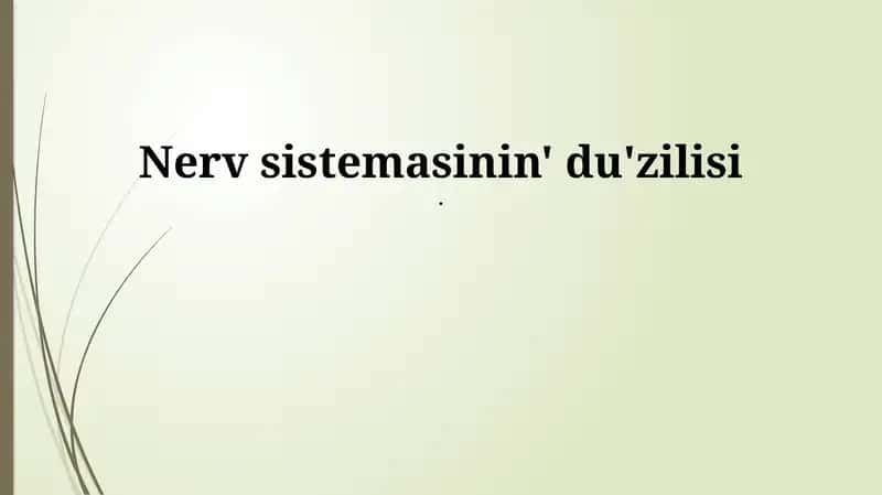 Nerv sistemasının' du'zilisi 1