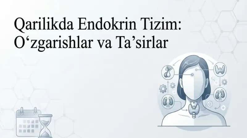 Qarilikda Endokrin tizim oʻzgarishlar va taʼsirlar 1