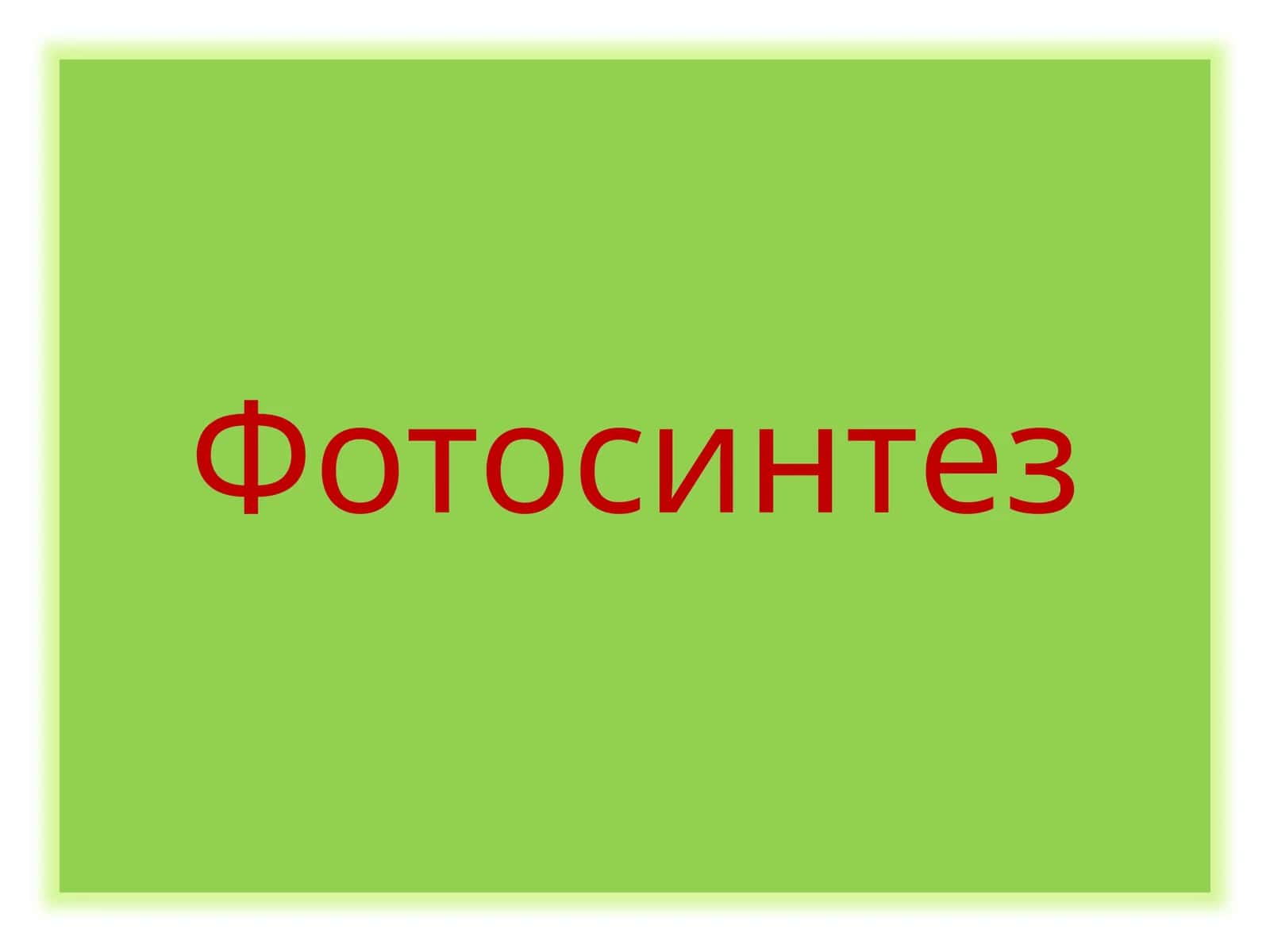 Фотосинтез 1