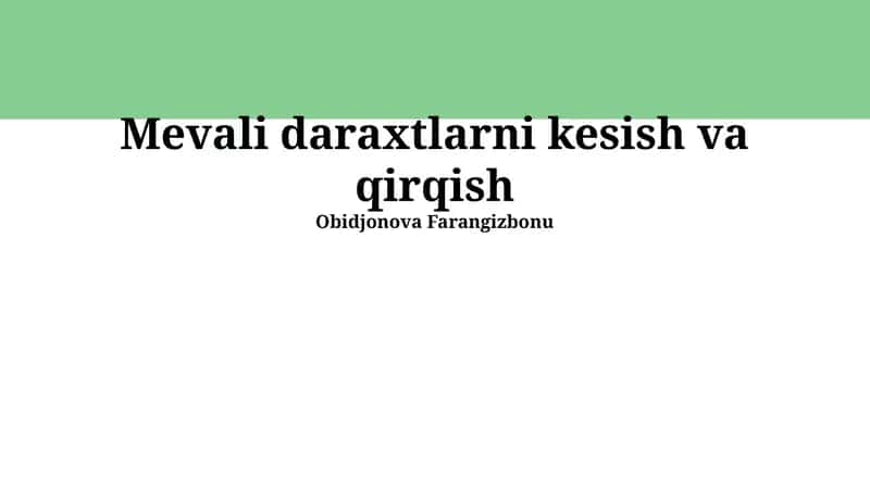 Mevali daraxtlarni kesish va qirqish 1