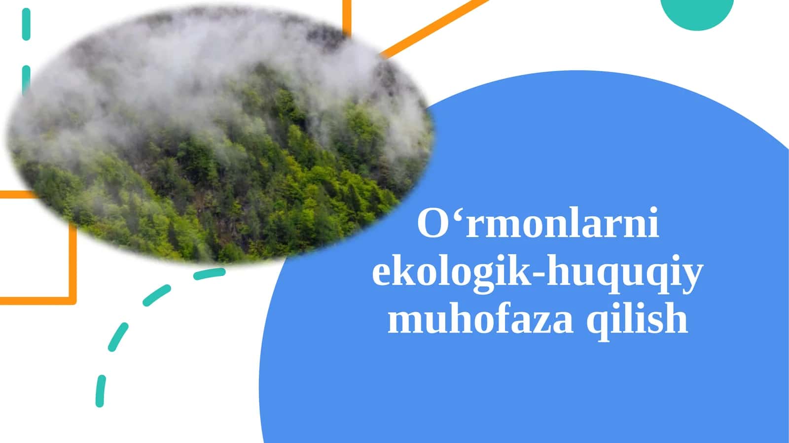 O‘rmonlarni ekologik-huquqiy muhofaza qilish 1