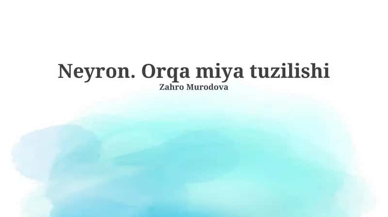 Neyron. Orqa miya tuzilishi 1