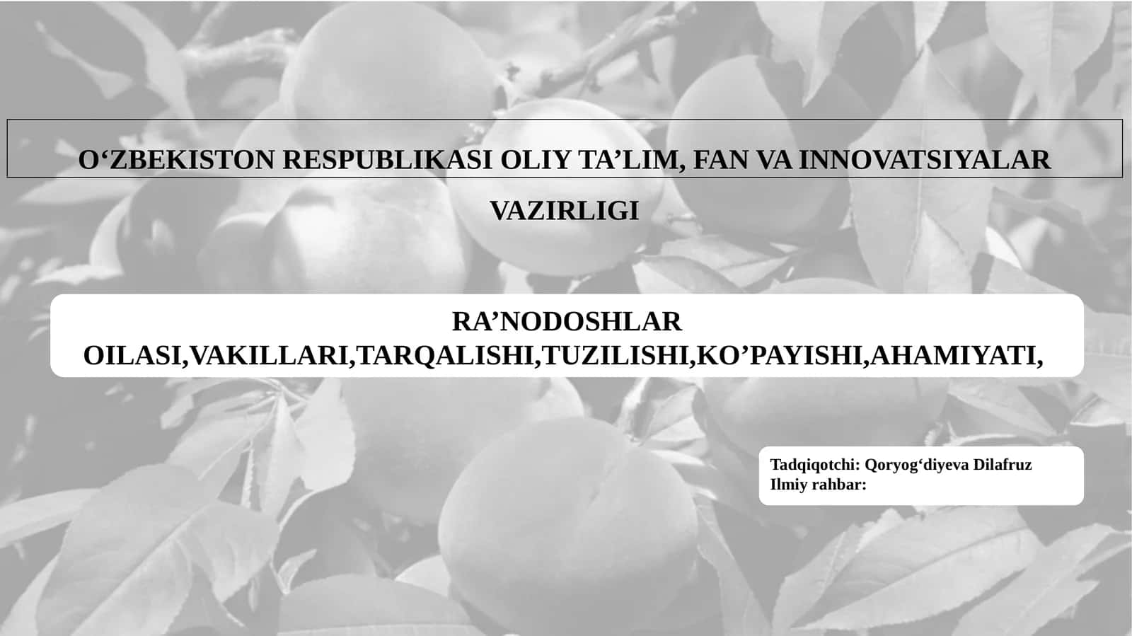 RA’NODOSHLAR OILASI,VAKILLARI,TARQALISHI,TUZILISHI,KO’PAYISHI,AHAMIYATI 1