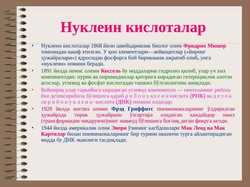 Нуклеин кислоталар 1