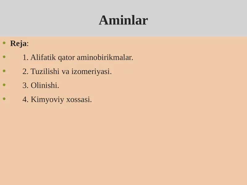 Aminlar 1