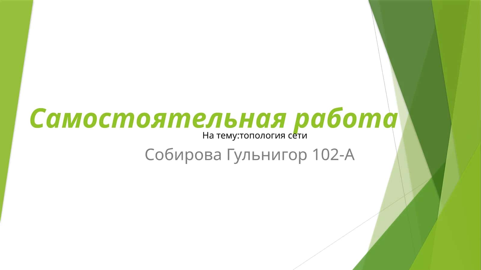 топология сети 1