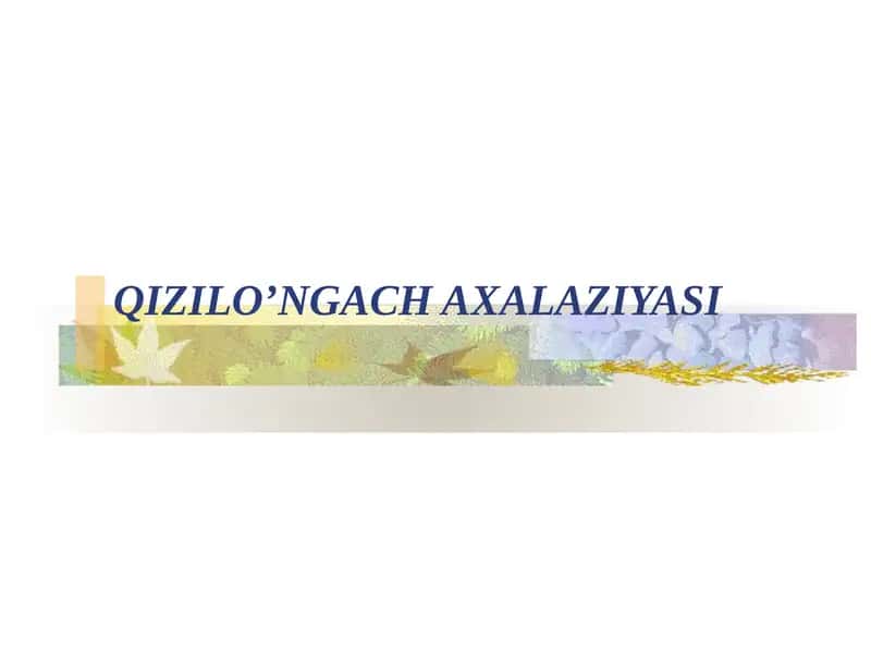 QIZILO’NGACH AXALAZIYASI 1