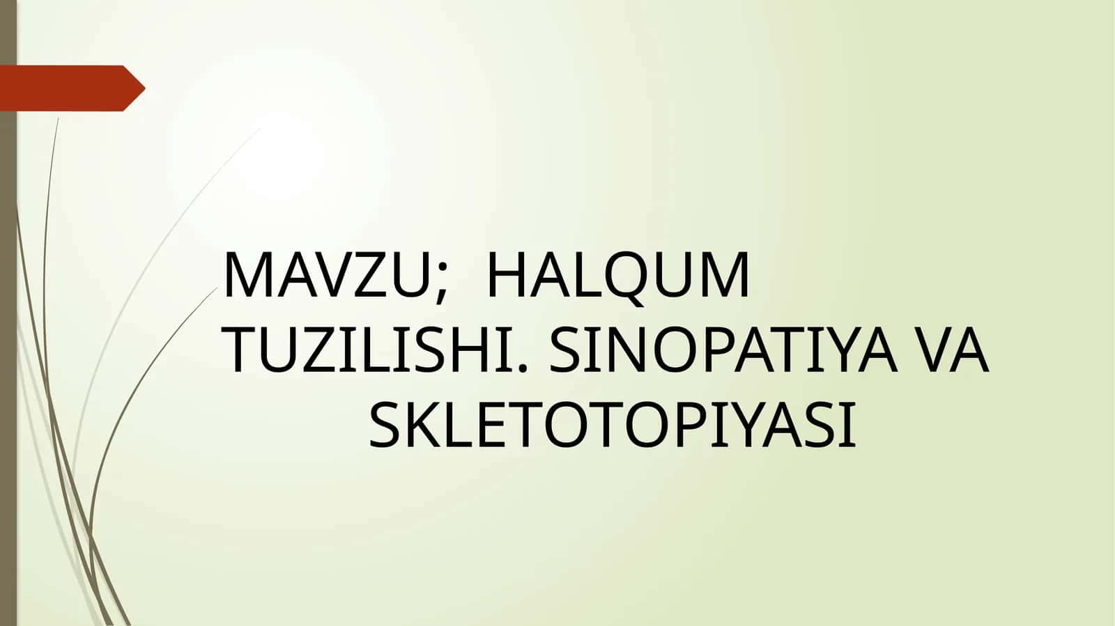 HALQUM TUZILISHI. SINOPATIYA VA SKLETOTOPIYASI 1