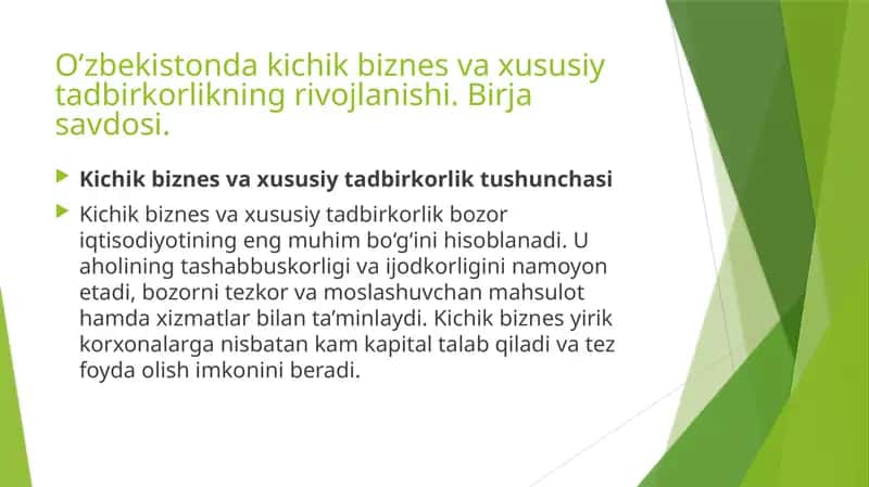 Kichik biznes va xususiy tadbirkorlik 1