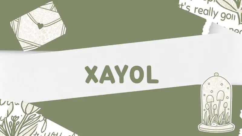 Xayol 1