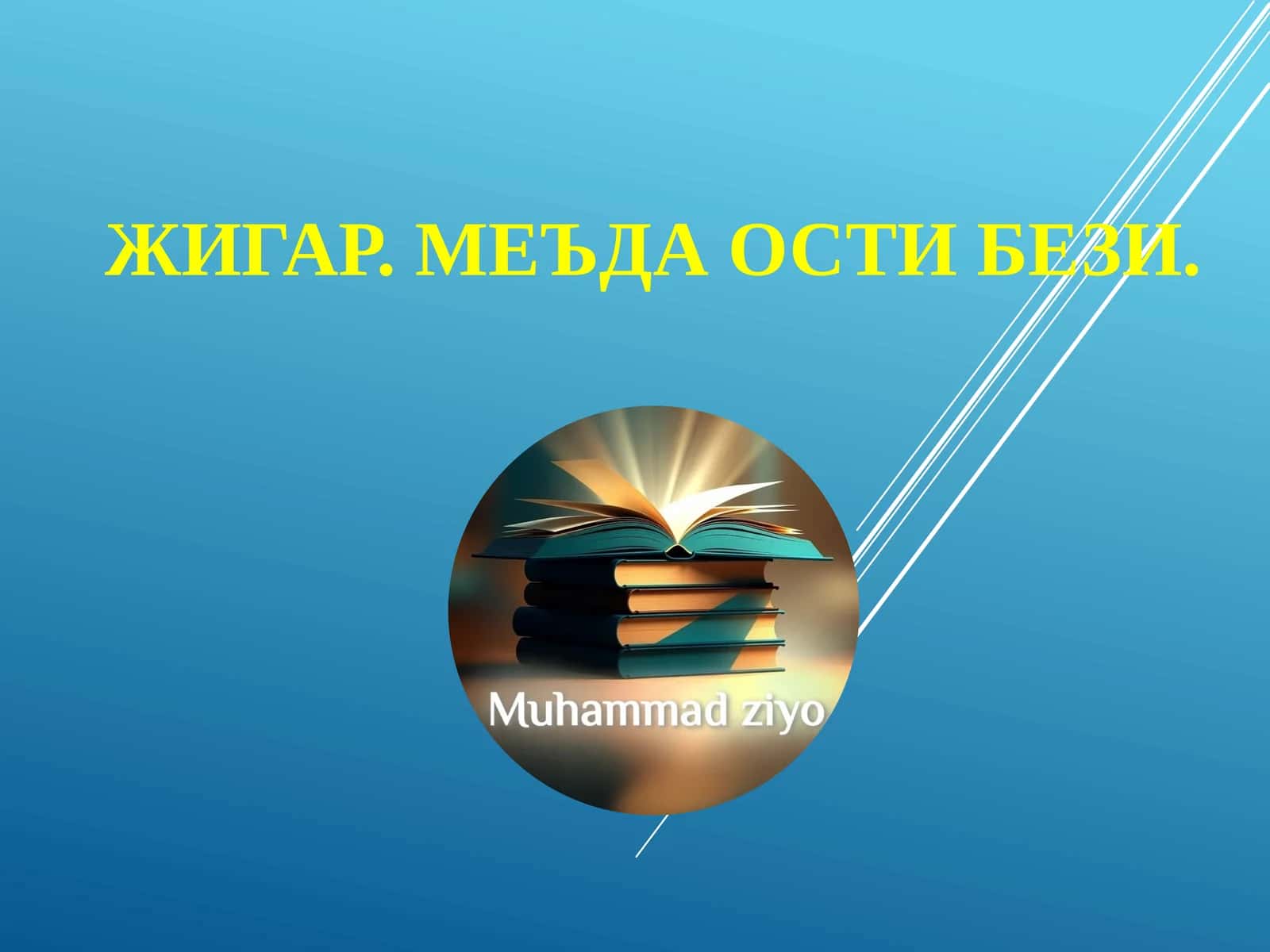 ЖИГАР. МЕЪДА ОСТИ БЕЗИ 1