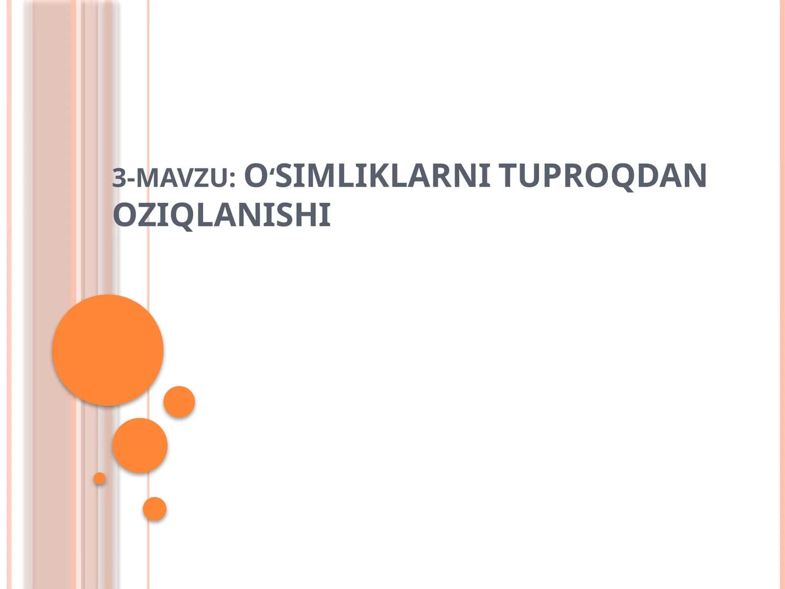 O‘SIMLIKLARNI TUPROQDAN OZIQLANISHI 1