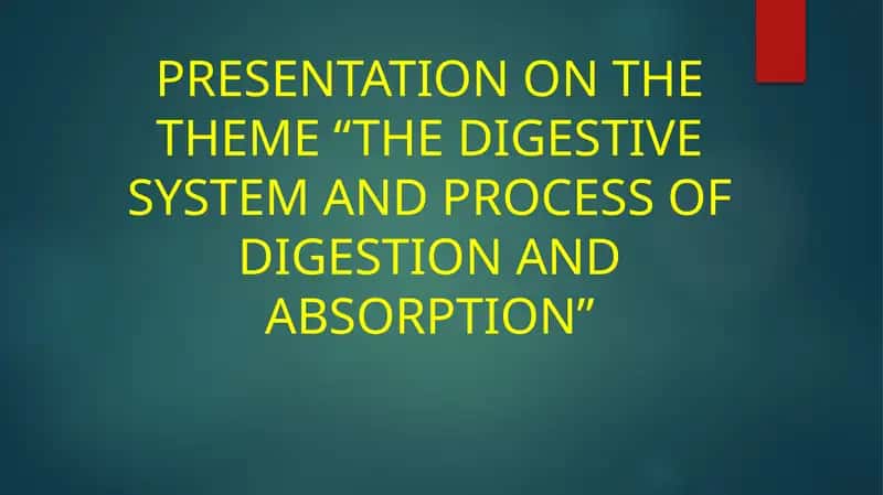 The Digestive System and Process of Digestion and Absorption 1