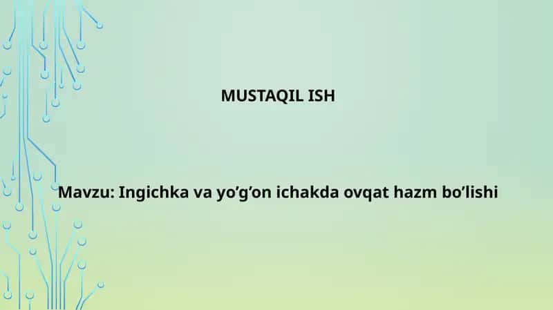 ingichka va yoʻgʻon ichakda ovqat hazm boʻlishi 1